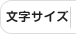 文字サイズ